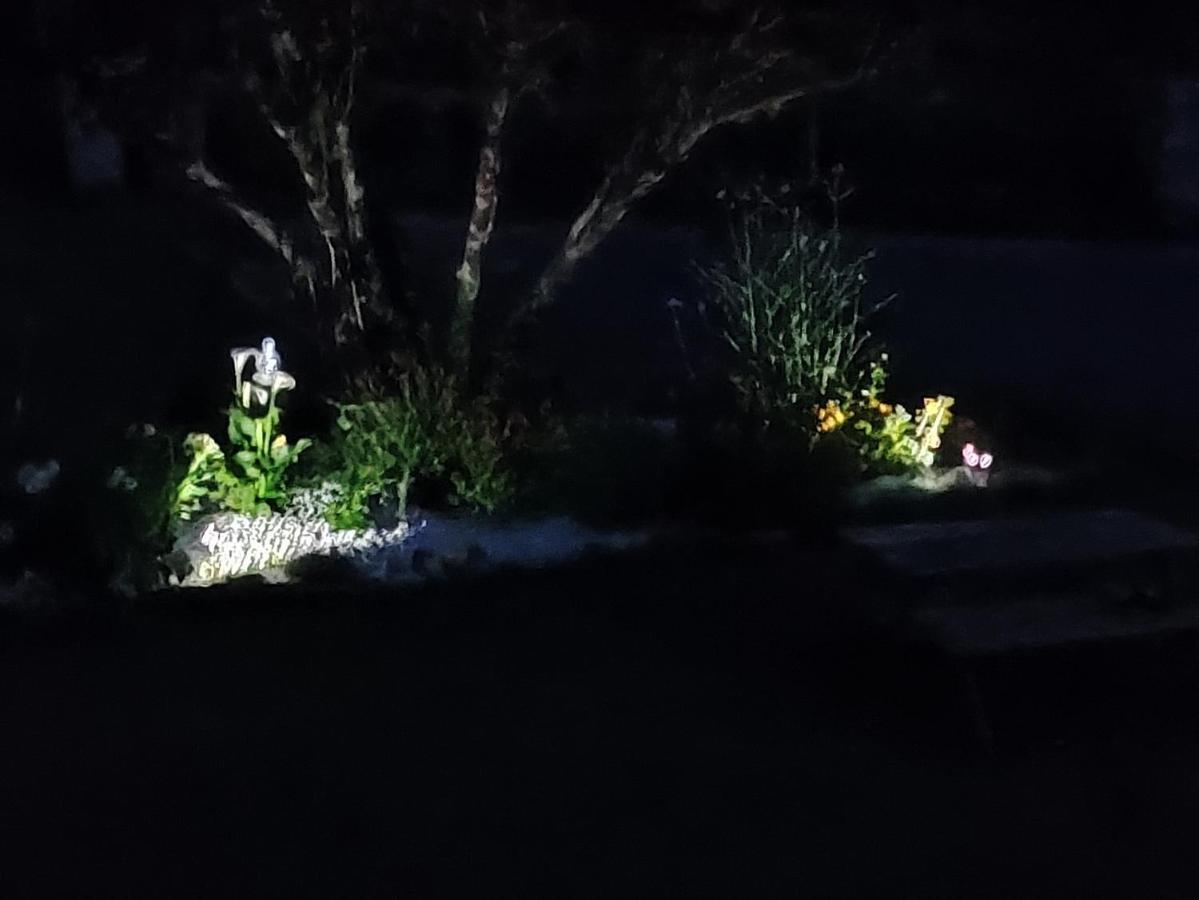 Au Plaisir De L'Ivoie Chambre Double Le May-sur-Evre Bagian luar foto